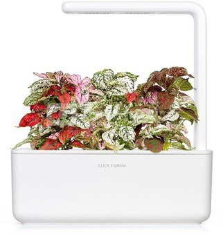 Click & Grow Smart Garden refill Polka Dot Flower 3pcs