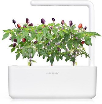 Click & Grow Smart Garden refill Purple Chili Pepper 3pcs