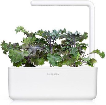 Click & Grow Smart Garden refill Red Kale 3pcs