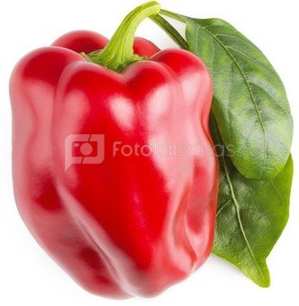 Click & Grow Smart Garden капсулы Красный сладкий перец 3 шт.