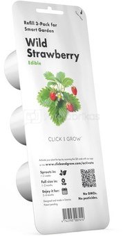 Click & Grow Smart Garden refill Wild Strawberry 3pcs