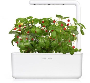 Click & Grow Smart Garden refill Земляника 3 штуки