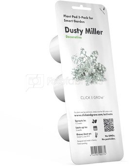 Click & Grow Smart Refill Dusty Miller 3pcs