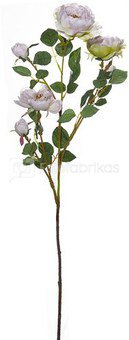 Dekoratyvinė gėlė Angliška rožė (12) H: 95 cm. PS06284PT SAVEX