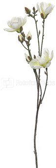 Dekoratyvinė gėlė Magnolija (6) H: 92 cm. PS06286LX SAVEX