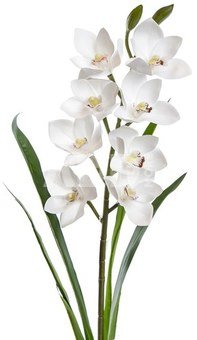 Dekoratyvinė gėlė Orchidėja balta h 73 cm K03977/1