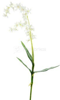 Dekoratyvinė gėlė Orchidėja smulkiažiedė balta (12) h 78 cm SAVEX