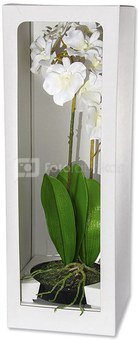 Dekoratyvinė gėlė Orchidėja vazonėlyje (1) H: 62 cm. PS022065PTPOT SAVEX
