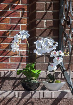 Dekoratyvinė gėlė Orchidėja vazonėlyje (1) H: 62 cm. PS022065PTPOT SAVEX