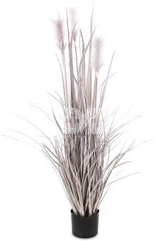 Dekoratyvinė gėlė vazonėlyje pilkos sp.121x65x66 cm 161837