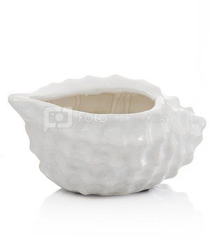 Dekoratyvinė kriauklė keramikinė DW14461W 22X14X10.5 SAVEX