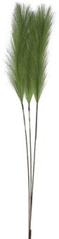 Dekoratyvinis augalas kortiderija (pampos) 15x130 cm žalia spalva 105022