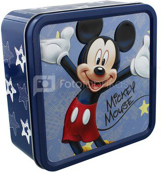 Dėžutė metalinė H:6 W:15 D:15 cm Disney motyvais DI151