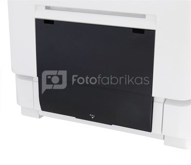 DNP Original Scrap Box for DS-RX1 Printer