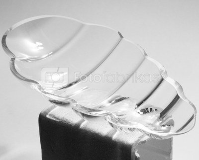 Dubuo-lėkštė stiklinė 9,5x32x20 cm 108240 ddm