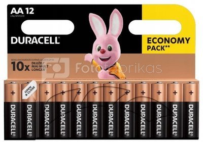 Duracell Alkaline batteries Basic LR6/AA 12 pcs