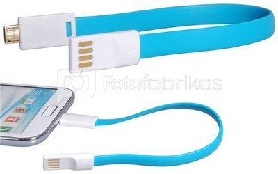 EnerGea Enercharge Micro USB
