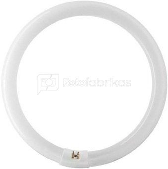 Falcon Eyes Spare Ring Lamp for FLC-28 28W