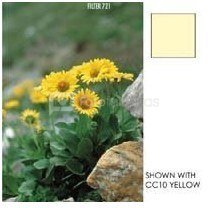 Cokin Filter P720 Yellow CC (CC05Y)