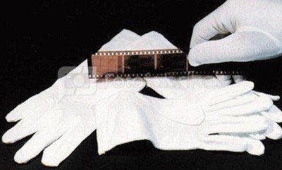 Fotoflex gloves size 8 (61080)