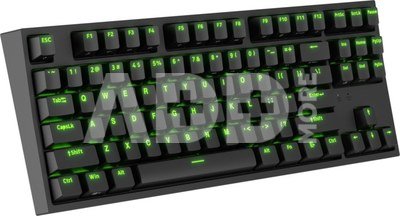 Genesis Mechanical Gaming Keyboard THOR 404 TKL RGB Mechanical Gaming Keyboard Wired US Kailh Box Brown V2 USB Type-A 1005 g