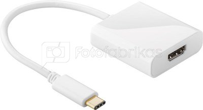 Goobay 66259 USB-C HDMI adapter, White