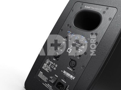 iLoud Precision 5 |