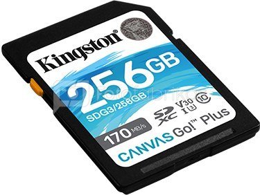 Kingston Canvas Go! Plus 256 GB, SD, Flash memory class 10