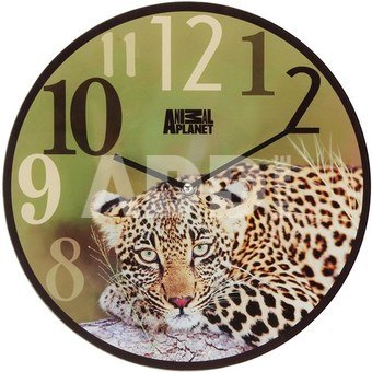 Laikrodis sieninis stiklinis su Leopardo nuotrauka D30 cm AP136
