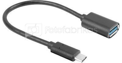 Lanberg Adapter USB TYPE-C (M) AF 3.1 15 cm