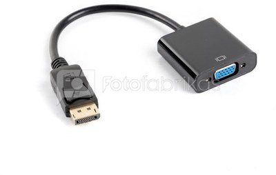 Lanberg DisplayPort Adapter (M) -> VGA 15 pin (F) black on the cable