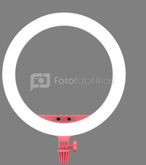 Godox LR150 LED Ring Light Pink