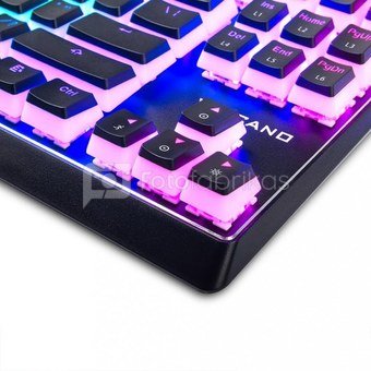 MODECOM Mechanical keyboard RGB Pudding edition black