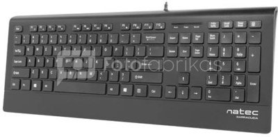 Natec Keyboard, Barracuda, US Layout, Slim