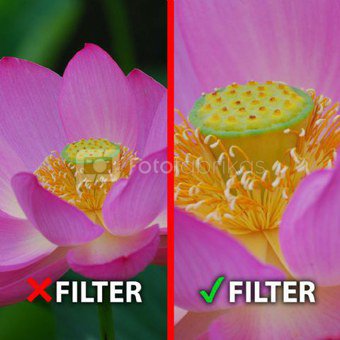 Objektyvų filtras MARUMI Marumi Macro Achro 200 + 5 Filter DHG 49 mm