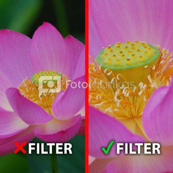 Objektyvų filtras MARUMI Marumi Macro Achro 200 + 5 Filter DHG 55 mm
