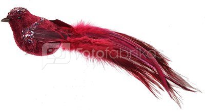Paukštelis su plunksnomis prisegamas raudonas 20 cm 1437 KLD