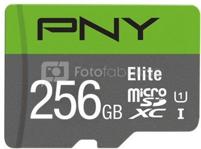 PNY Memory card MicroSDXC Elite 256GB P-SDU256V11100EL-GE