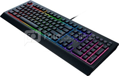 Razer keyboard Cynosa V2 US