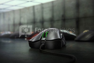 Razer mouse DeathAdder Essential 2021