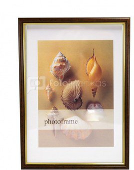 Frame 21x30 plastic 11-008 dark brown. with gold | 14mm