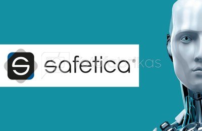 Safetica Auditor, Subscription licence, 3 year(s), License quantity 5-49 user(s)