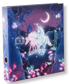 Binder-box GB 39579 A4 21x30 Unicorn
