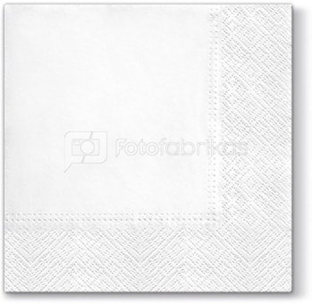 Servetėlės popierinės stalo baltos 33x33 cm 102456