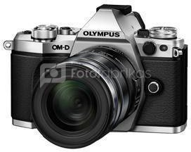 Olympus OM-D E-M10 IV + 14-150mm f/4-5.6 ED II (Sidabrinis)