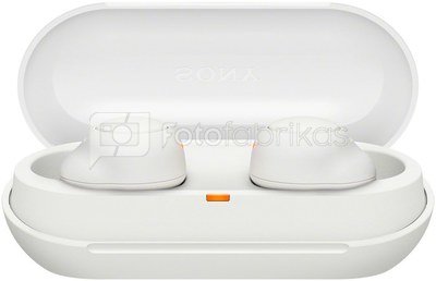 Sony wireless earbuds WF-C500W, white