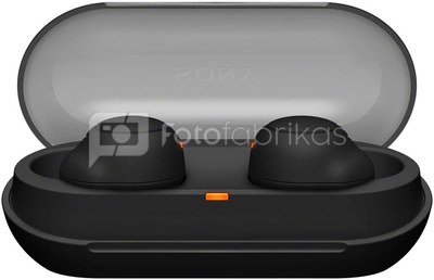 Sony беспроводные наушники WF-C500, черный
