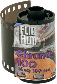 Flic Film Chrome 100 35MM 36 EX