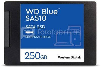 SSD|WESTERN DIGITAL|SA510|250GB|SATA 3.0|Write speed 440 MBytes/sec|Read speed 555 MBytes/sec|2,5"|TBW 100 TB|MTBF 1750000 hours|WDS250G3B0A