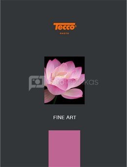Tecco Textured FineArt Rag TFR300 10x15 cm 100 Sheets